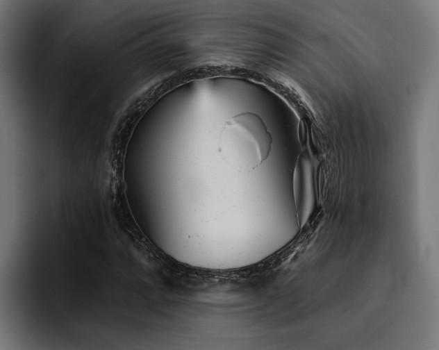 X0000094461064200711081321