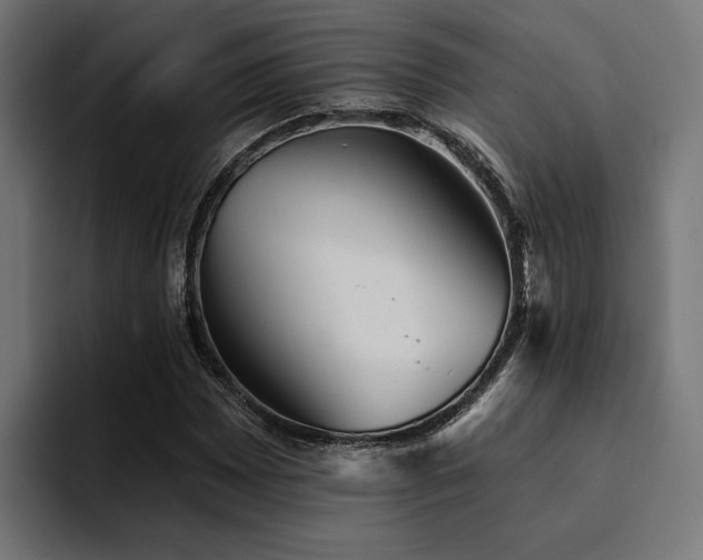 X0000094461065200711081321