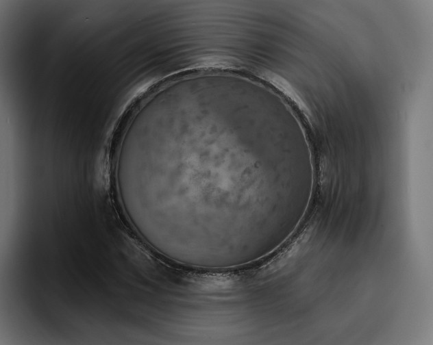 X0000094461067200711081321