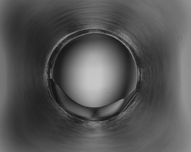 X0000094461068200711081321