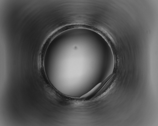 X0000094461069200711081321