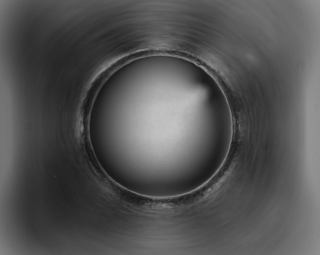 X0000094461070200711081321