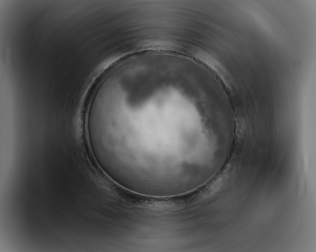 X0000094461074200711081320