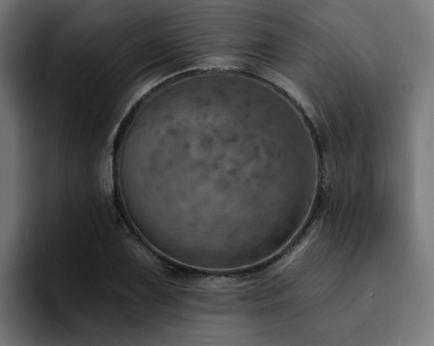 X0000094461075200711081320