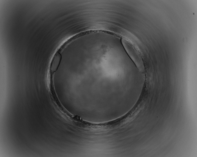 X0000094461076200711081320