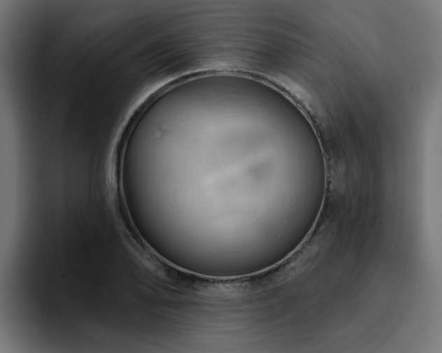 X0000094461078200711081320