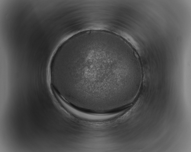 X0000094461080200711081320