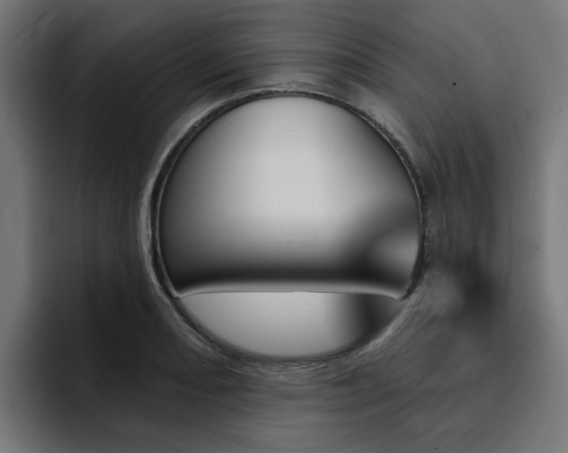X0000094461082200711081320