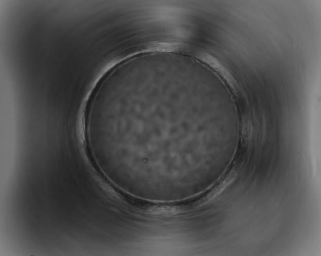X0000094461083200711081320