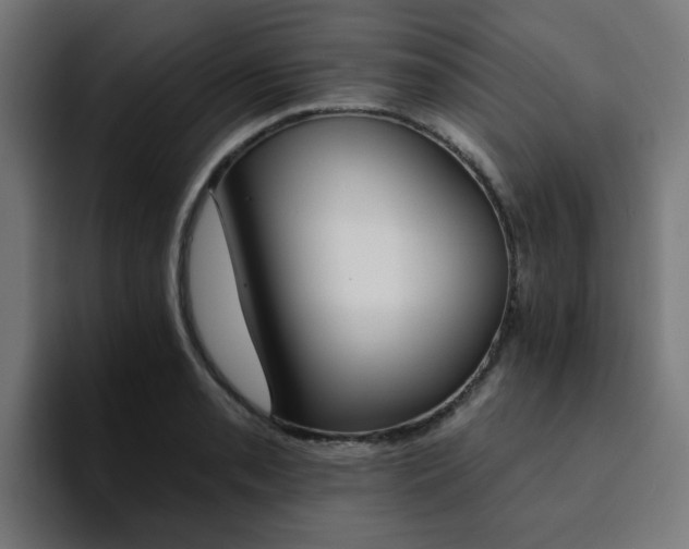 X0000094461085200711081320
