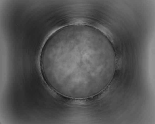 X0000094461086200711081320