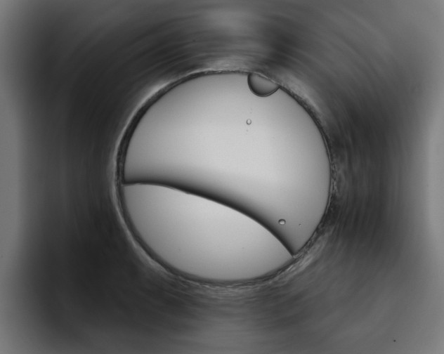 X0000094461087200711081320