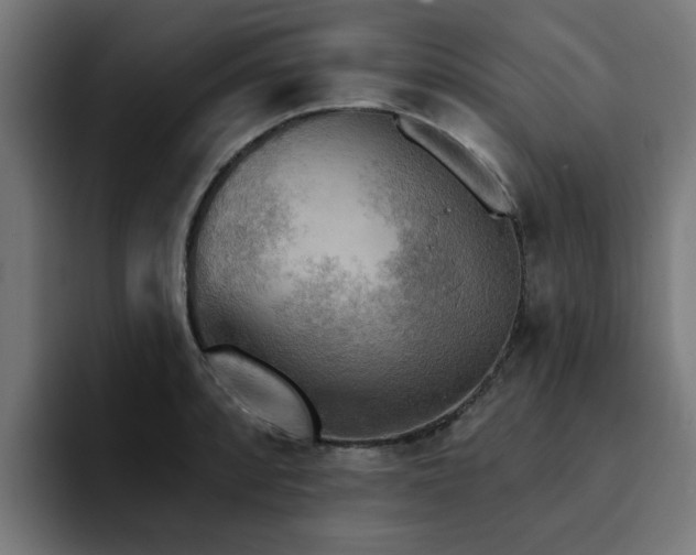 X0000094461088200711081320