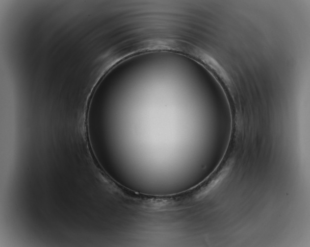 X0000094461089200711081320