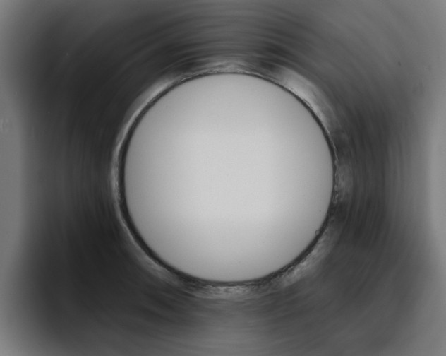 X0000094461090200711081320
