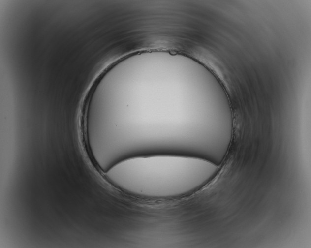 X0000094461091200711081320