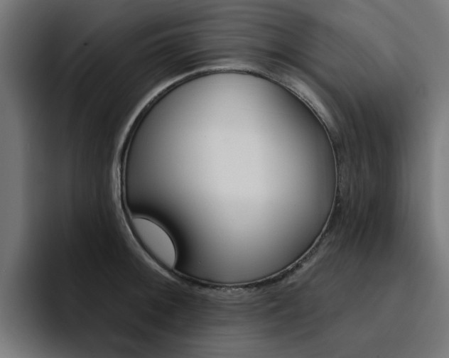 X0000094461092200711081320
