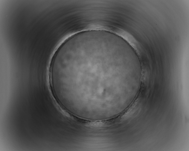 X0000094461094200711081320