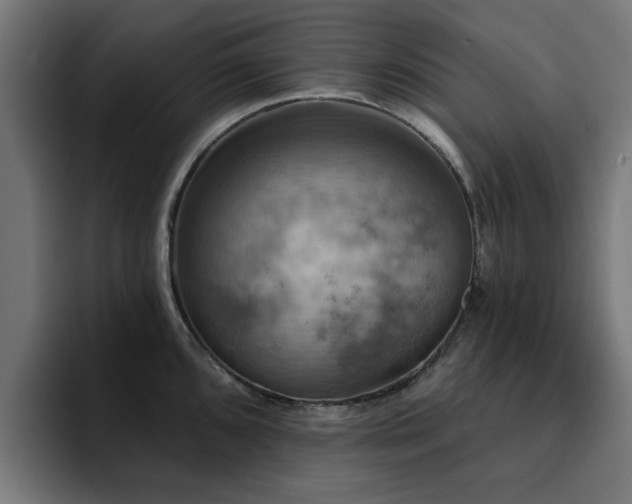 X0000094461096200711081320