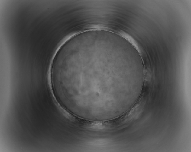X0000094461098200711081320