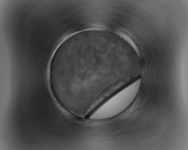 X0000094461099200711081320