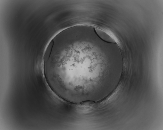 X0000094461100200711081320