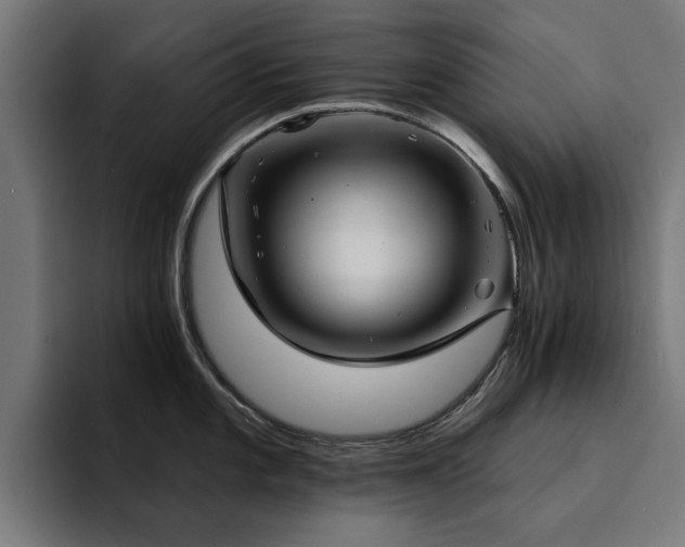 X0000094461101200711081320