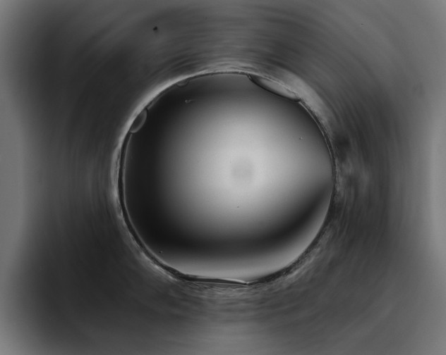 X0000094461102200711081320