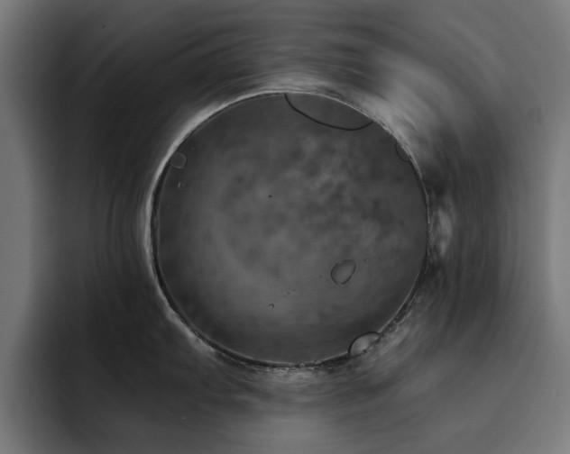 X0000094461103200711081320
