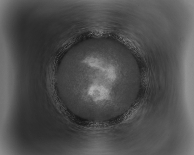 X0000094461105200711081319