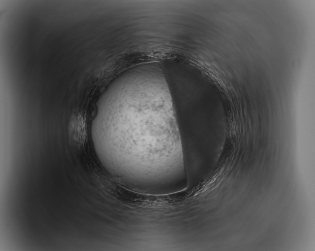 X0000094461106200711081319