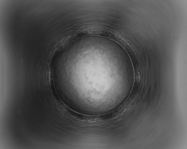 X0000094461108200711081319