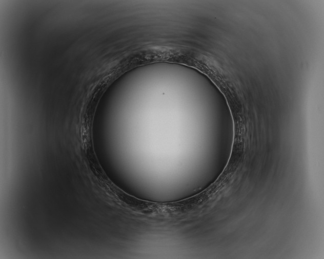 X0000094461109200711081319