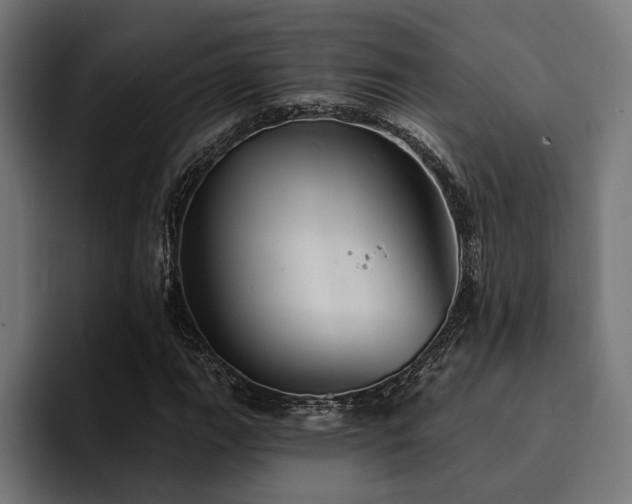 X0000094461111200711081320