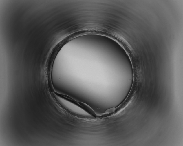 X0000094461114200711081320