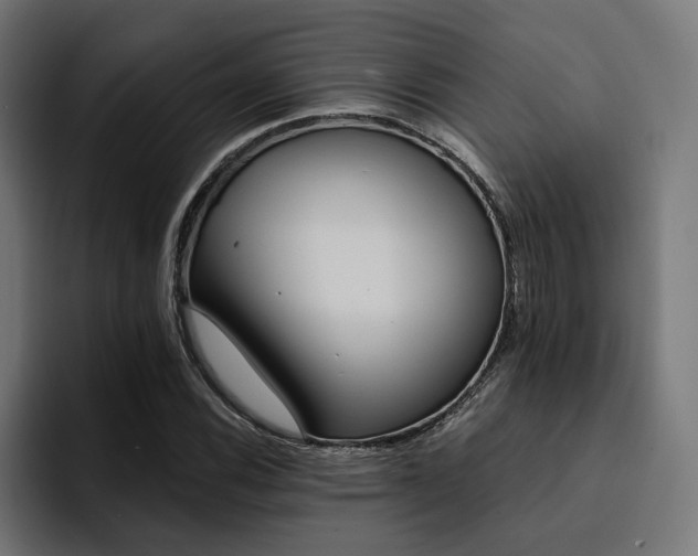 X0000094461116200711081320