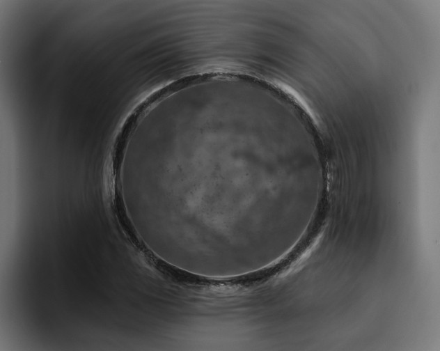 X0000094461117200711081320