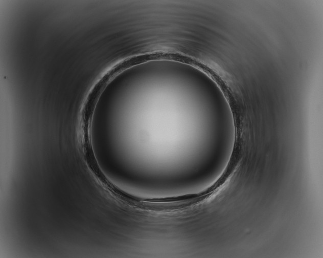 X0000094461118200711081320