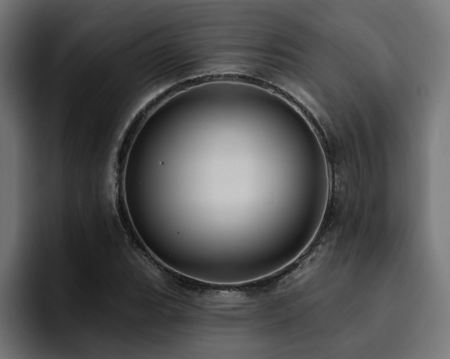 X0000094461119200711081320