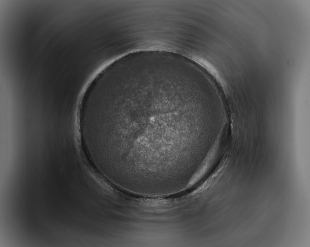 X0000094461120200711081320