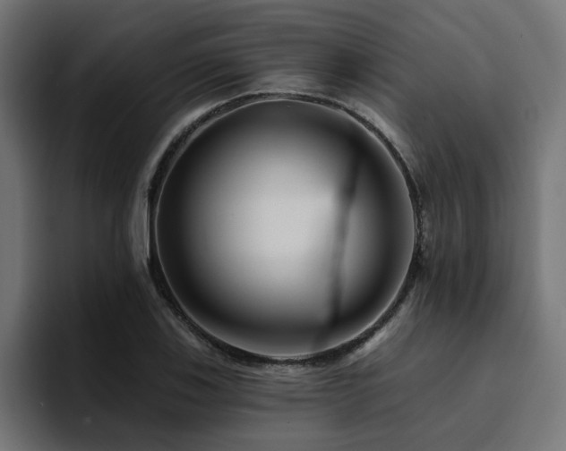 X0000094461123200711081320