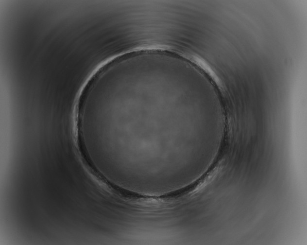 X0000094461124200711081320