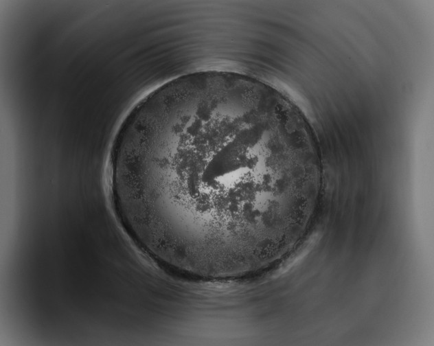 X0000094461125200711081320