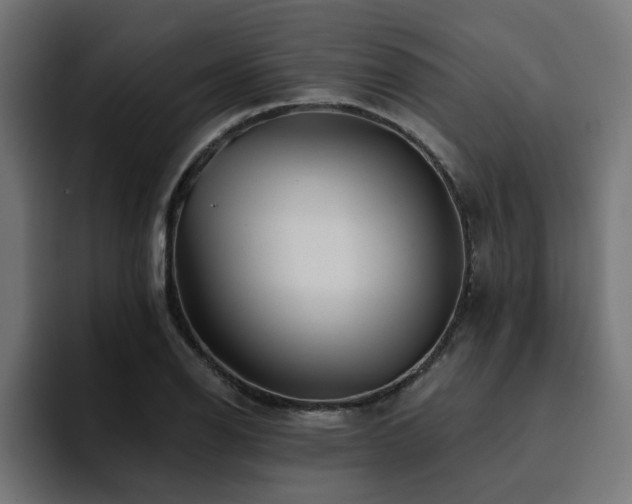 X0000094461126200711081320