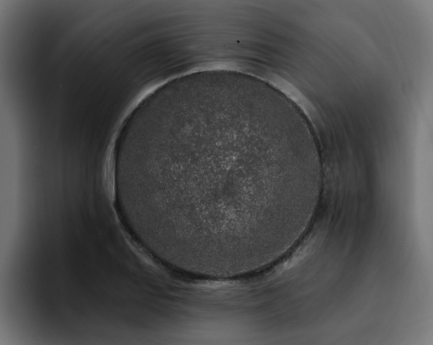 X0000094461127200711081320