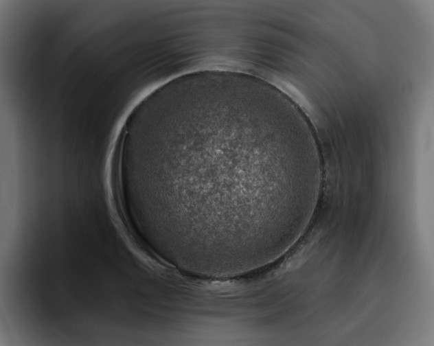 X0000094461128200711081320