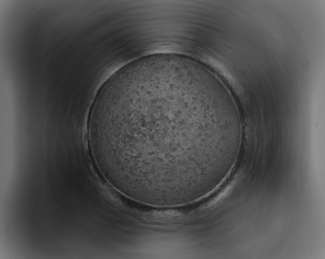 X0000094461129200711081320