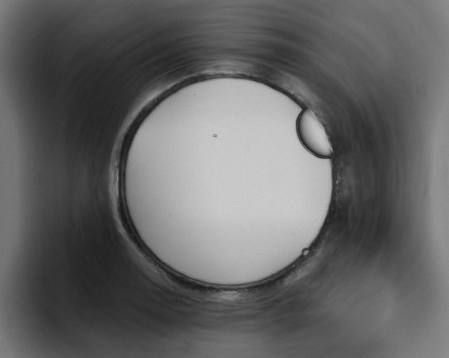 X0000094461130200711081320