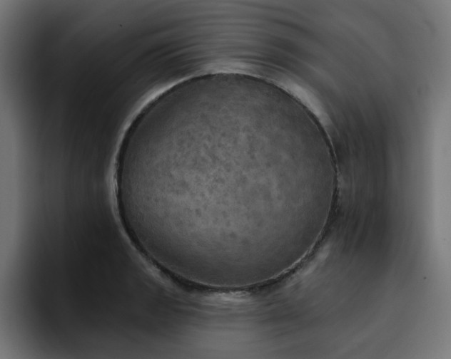 X0000094461133200711081320