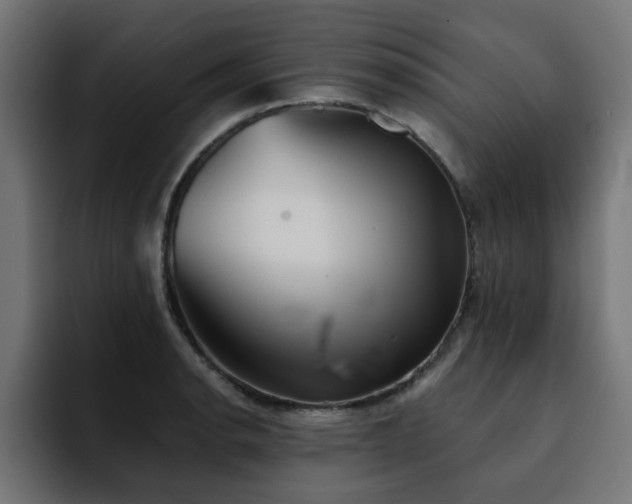 X0000094461134200711081320